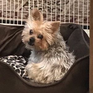 Meet your Posher, Kim